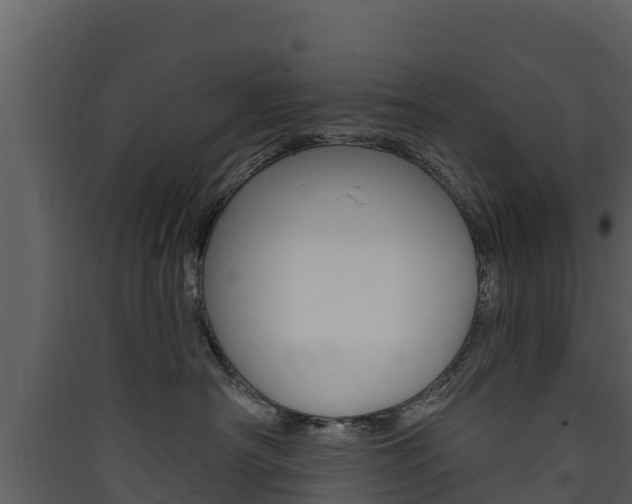 X0000090420430200707130950
