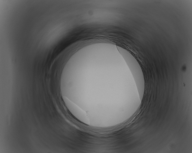 X0000090420431200707130950
