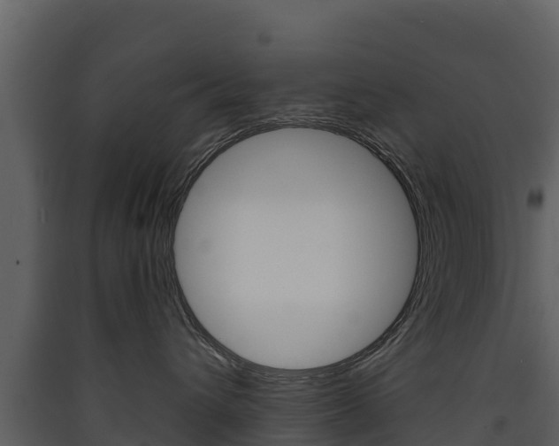 X0000090420432200707130950