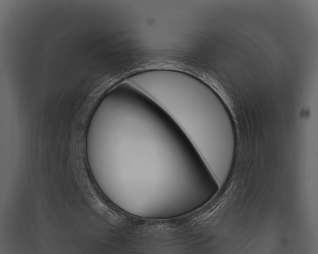 X0000090420433200707130950