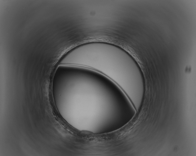 X0000090420434200707130950