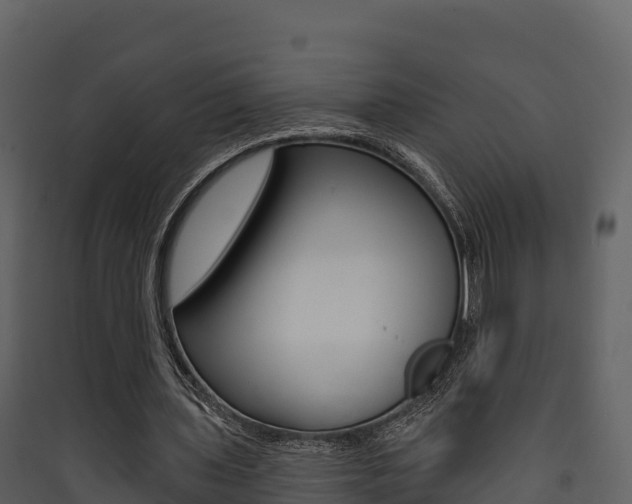X0000090420435200707130950