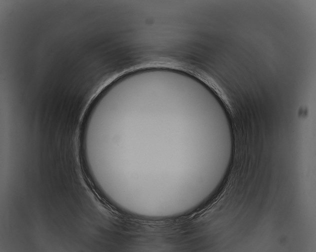 X0000090420436200707130950