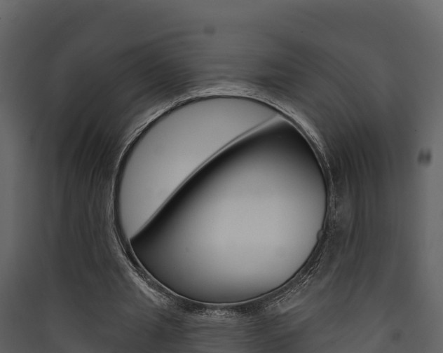 X0000090420437200707130950