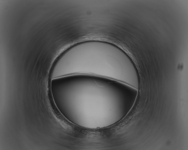 X0000090420438200707130950