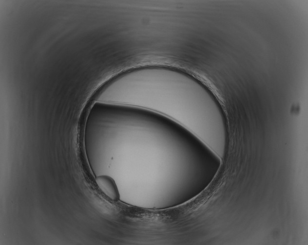 X0000090420439200707130950