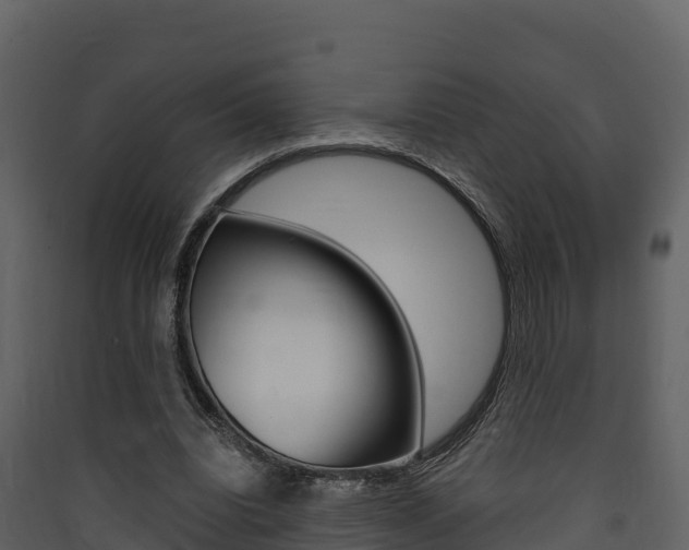 X0000090420440200707130950