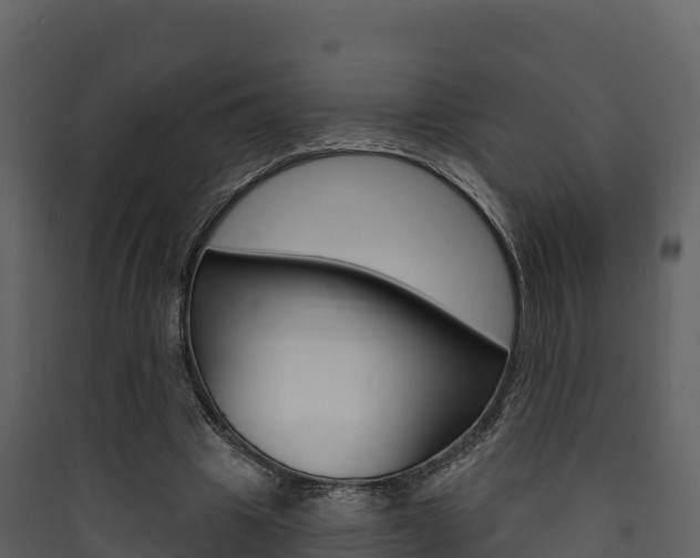 X0000090420441200707130950