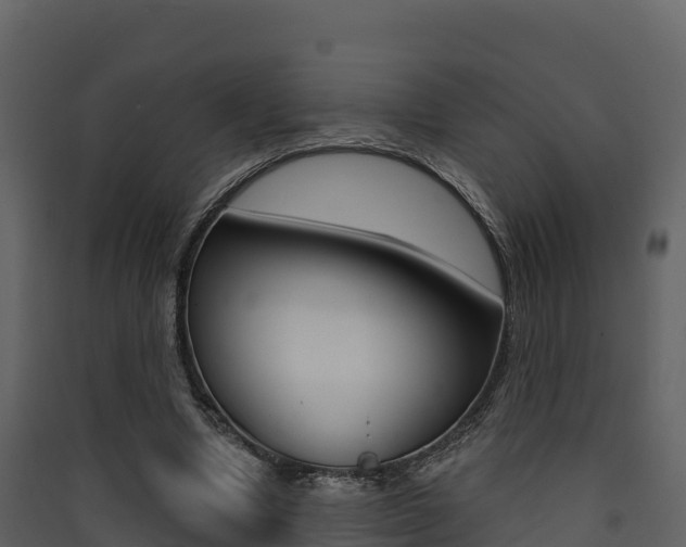 X0000090420442200707130950