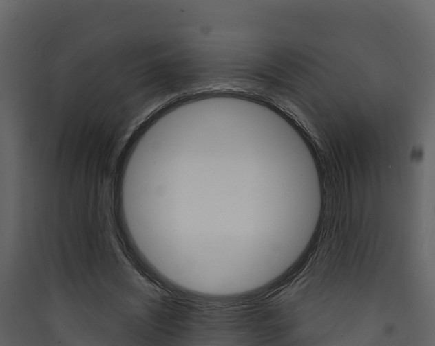 X0000090420444200707130950