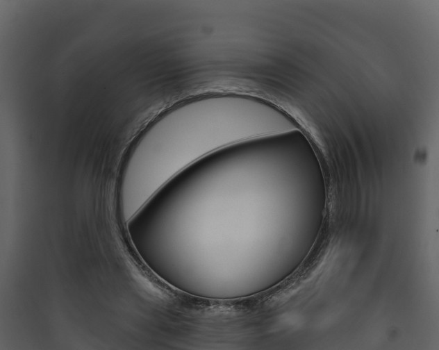 X0000090420445200707130950