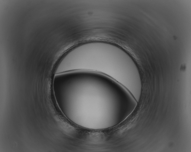 X0000090420446200707130950