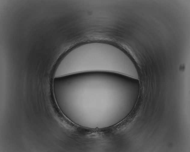 X0000090420447200707130950