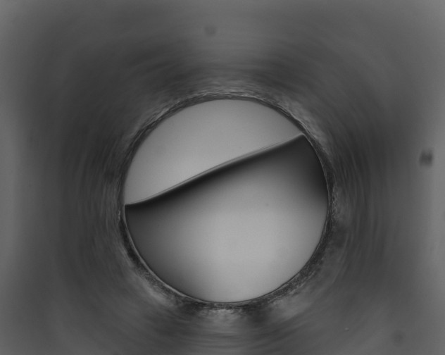 X0000090420449200707130950