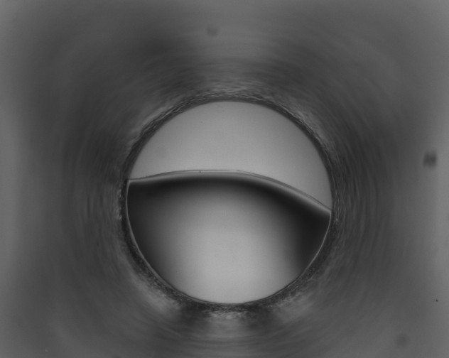 X0000090420450200707130950