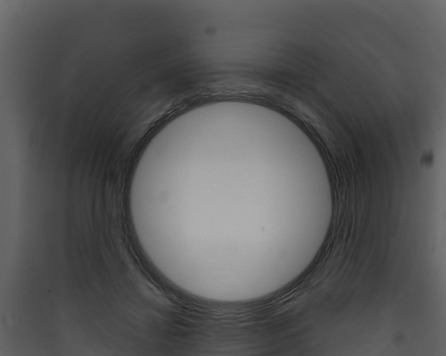 X0000090420452200707130950