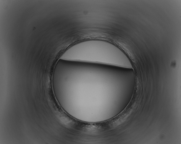 X0000090420453200707130950