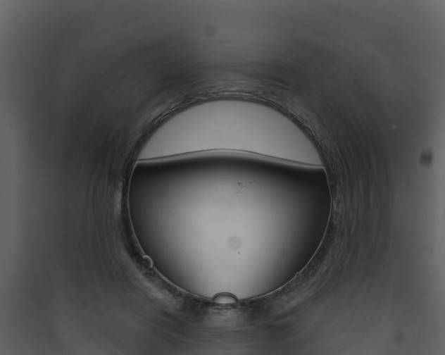 X0000090420454200707130950