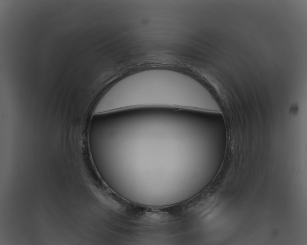 X0000090420455200707130950