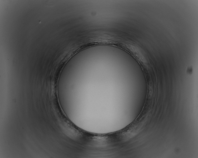 X0000090420457200707130950