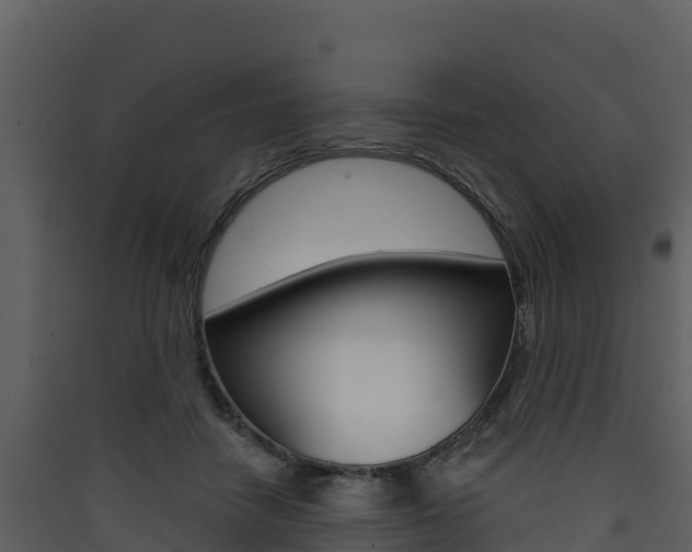 X0000090420458200707130950