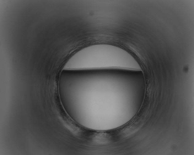 X0000090420459200707130950