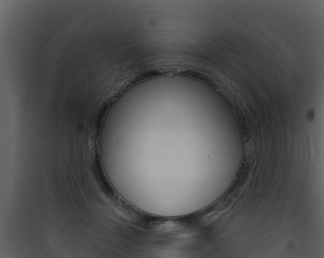X0000090420460200707130950