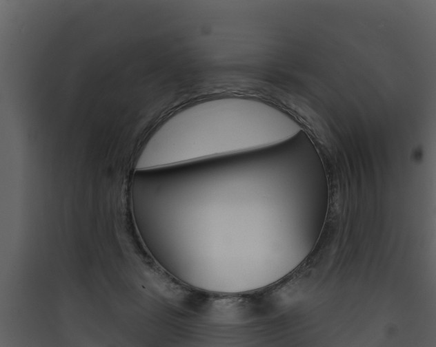 X0000090420461200707130950