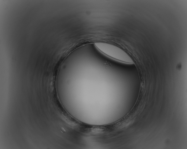 X0000090420462200707130950
