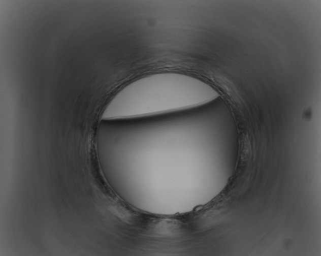 X0000090420463200707130950