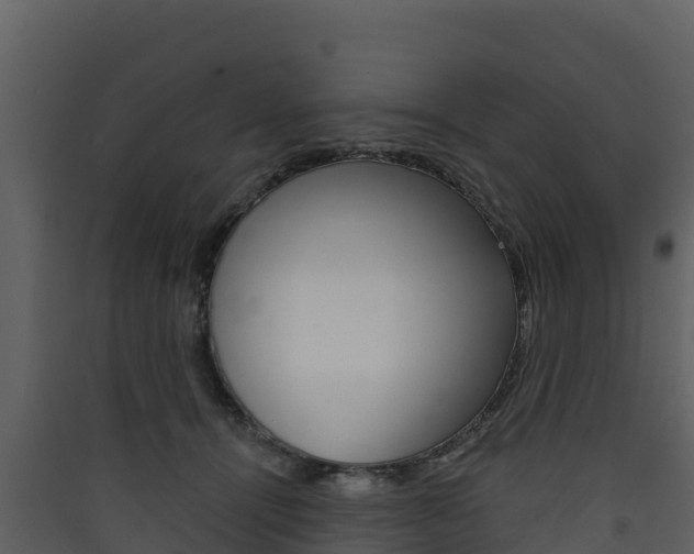 X0000090420464200707130950