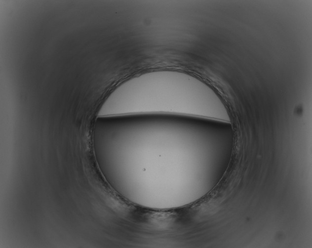 X0000090420465200707130950