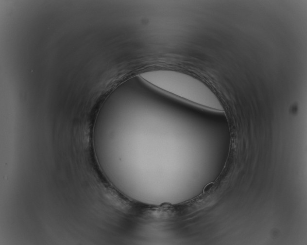 X0000090420466200707130950