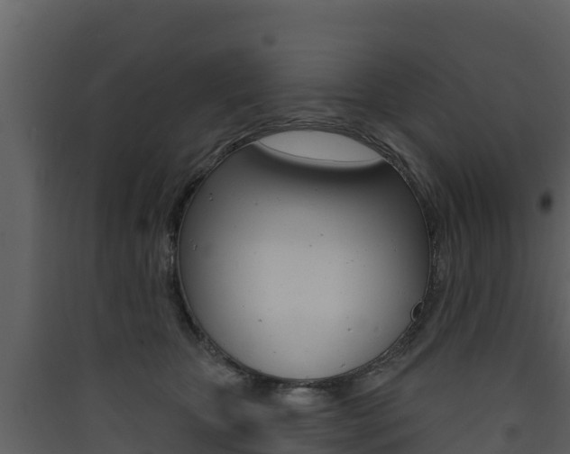 X0000090420467200707130950