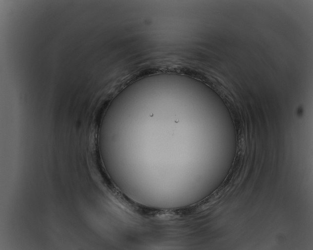X0000090420468200707130950