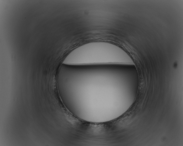 X0000090420469200707130950