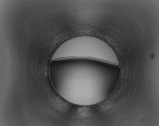 X0000090420470200707130950