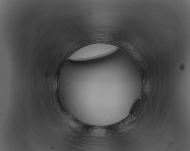 X0000090420471200707130950