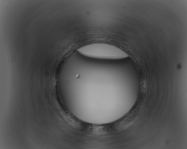 X0000090420472200707130950