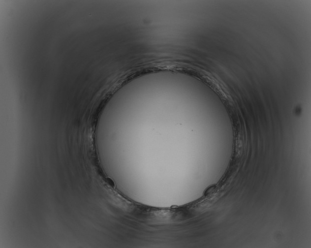 X0000090420473200707130950