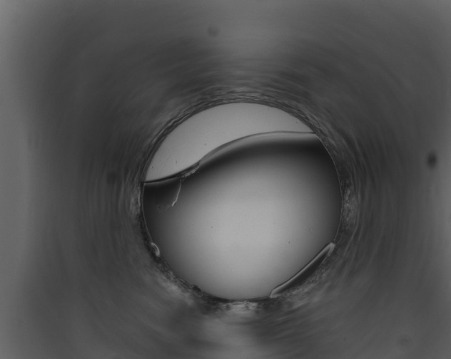 X0000090420474200707130950