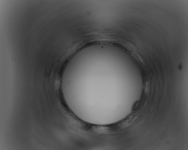 X0000090420476200707130950
