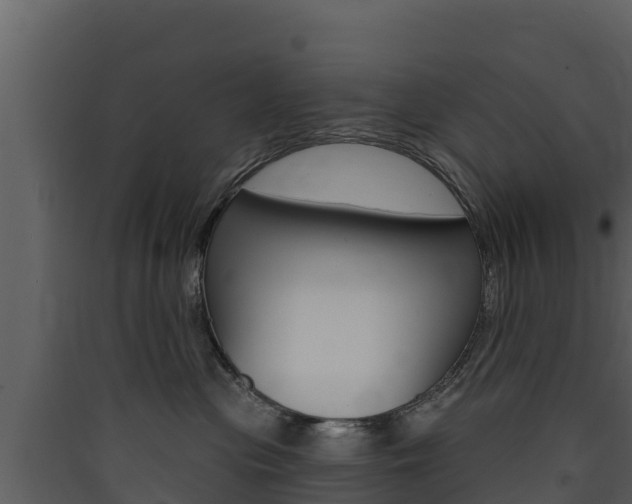 X0000090420477200707130950