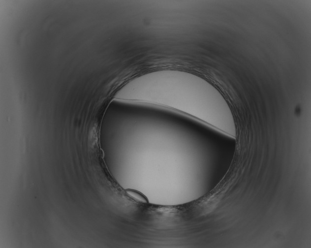 X0000090420478200707130950