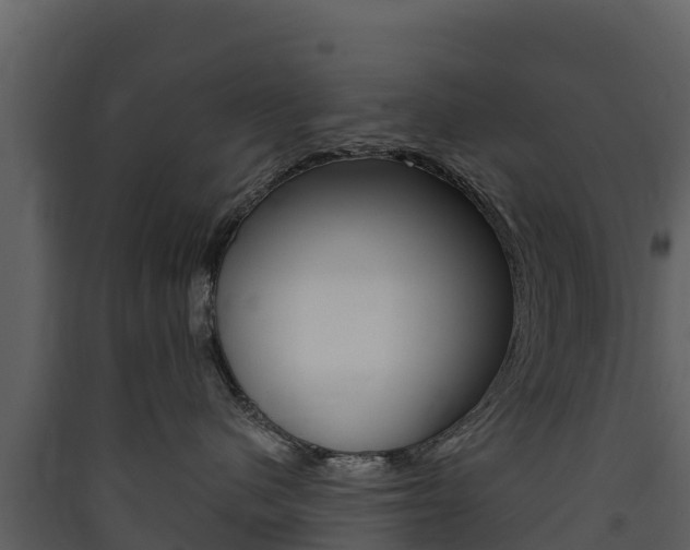 X0000090420480200707130950