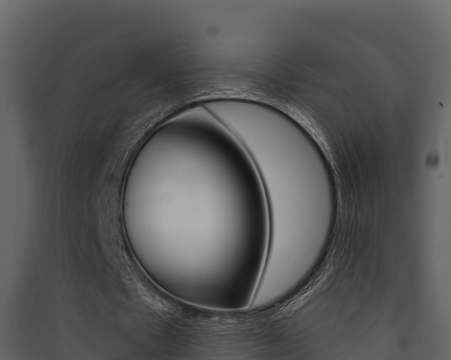 X0000090420481200707130950