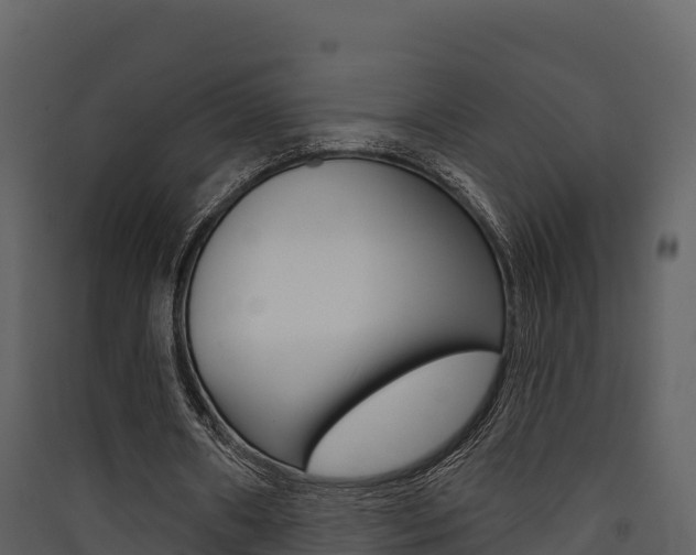 X0000090420482200707130950