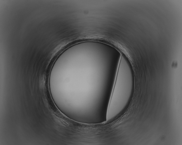 X0000090420483200707130950