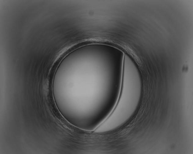 X0000090420484200707130950