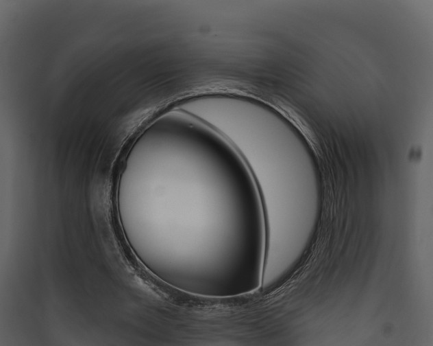 X0000090420485200707130950